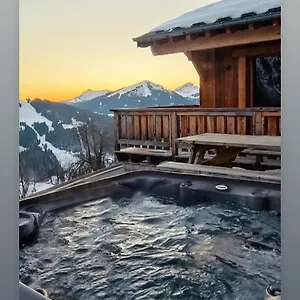 Avec Jacuzzi - 100 M Des Remontées Chalet